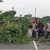 সড়ক অবরোধ, ঢাকার সঙ্গে বিচ্ছিন্ন ২১ জেলা
