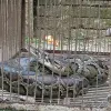 স্কুল মাঠ থেকে ৭ ফুট লম্বা অজগর উদ্ধার