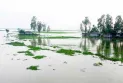 আগামী তিন দিনে তিস্তা, ধরলা ও দুধকুমার নদীর পানি বিপৎসীমা অতিক্রম করতে পারে