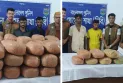 নাটোরে ট্রাক-বাস থেকে ১৭৪ কেজি গাঁজা উদ্ধার, গ্রেফতার ৪