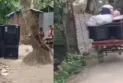 প্রেমিকের সঙ্গে পালালেন মা, বাবার বিয়ের আয়োজন করল ছেলে!