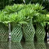 গাইবান্ধার ‘লাকি ব্যাম্বু’ যাচ্ছে দুবাই-কাতারে