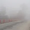 শরতেই ঘন কুয়াশায় ঢাকা পড়লো পঞ্চগড়
