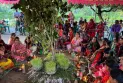 গাছ হারালে হারায় বিশ্বাস: মুন্ডাদের করম পূজা আজ স্মৃতির দ্বারপ্রান্তে
