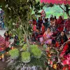 গাছ হারালে হারায় বিশ্বাস: মুন্ডাদের করম পূজা আজ স্মৃতির দ্বারপ্রান্তে