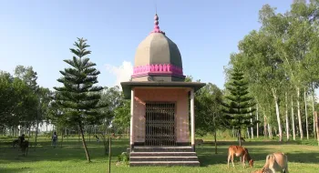 দীর্ঘ ১৬ বছর পর রসিক রায় জিউ মন্দিরে দুর্গোৎসব – উচ্ছ্বাসে ভাসছে হিন্দুধর্মাবলম্বীরা