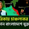 আমেরিকায় চাঞ্চল্যকর ঘটনা ! আরাকান বাংলাদেশে যুক্ত হচ্ছে ?