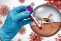 ডেঙ্গুতে ৯ জনের মৃত্যু, হাসপাতালে ভর্তি ১০৪২