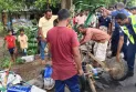 নাটোরে বাসচাপায় অটোরিকশার ৩ যাত্রী নিহত