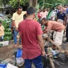 নাটোরে বাসচাপায় অটোরিকশার ৩ যাত্রী নিহত