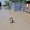রংপুরে ৩৪ গ্রামের বিশ হাজার পরিবার পানিবন্দি