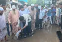 ধানের পর এবার সড়কে মাছ ছেড়ে প্রতিবাদ হাসনাত আবদুল্লাহর