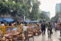 জাপার সমাবেশ ঘিরে ধাওয়া-পাল্টাধাওয়া, সাউন্ড গ্রেনেড নিক্ষেপ