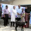 রংপুরে দৃষ্টি প্রতিবন্ধী ও বাক প্রতিবন্ধীদের মাঝে ছাগল বিতরণ