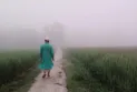 ঝড় বৃষ্টি আর খড়া শেষে বইছে হিমেল হাওয়া,  হেমন্তের দরজায় কড়া নাড়ছে শীত