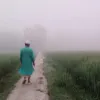 ঝড় বৃষ্টি আর খড়া শেষে বইছে হিমেল হাওয়া,  হেমন্তের দরজায় কড়া নাড়ছে শীত