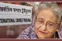 সুলতান সুলেমানের গল্প শুনিয়ে শেখ হাসিনার আইনজীবী বললেন, ‘সরকার চালাতে গেলে ভুলত্রুটি হয়’