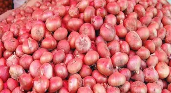 পেঁয়াজের কেজি ছাড়ালো ১০০ টাকা