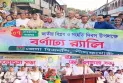জাতীয় বিপ্লব ও সংহতি দিবসে নীলফামারীতে বিএনপির র‌্যালি ও আলোচনা সভা
