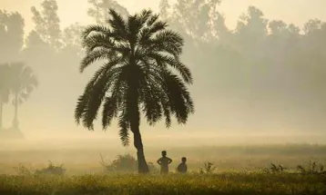 শীতে কাঁপছে কুড়িগ্রাম, তাপমাত্রা নামল ১২ ডিগ্রিতে