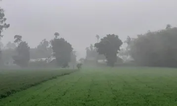 পঞ্চগড়ে তাপমাত্রার পারদ নামল ১০ দশমিক ৫ ডিগ্রিতে