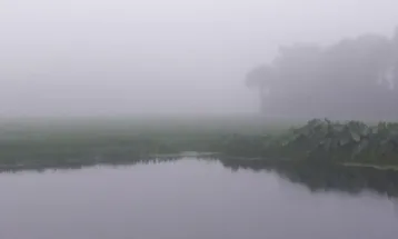 তেঁতুলিয়ায় মৃদু শৈত্যপ্রবাহ, ৮ ডিগ্রির ঘরে তাপমাত্রা