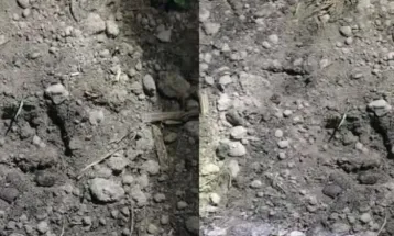 লালমনিরহাটে চিতাবাঘ আতঙ্ক, বিজিবির সতর্কবার্তা