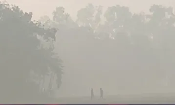 পঞ্চগড়ে বৃষ্টির মতো ঝড়ছে কুয়াশা, দেখা নেই সূর্যের