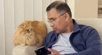 সাইবেরিয়ান বিড়াল জেবু, বাংলাদেশের আবহাওয়ায় খাপ খাওয়া ও যত্ন