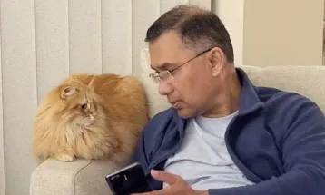 সাইবেরিয়ান বিড়াল জেবু, বাংলাদেশের আবহাওয়ায় খাপ খাওয়া ও যত্ন