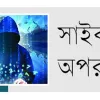 সাইবার অপরাধে বিপর্যয়